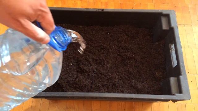 Подготовка Субстрата Почвы для Заселения Червей С Чего Начать Разведение Червей Дома Торф для Черве смотреть онлайн