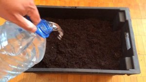 Подготовка Субстрата Почвы для Заселения Червей С Чего Начать Разведение Червей Дома Торф для Черве