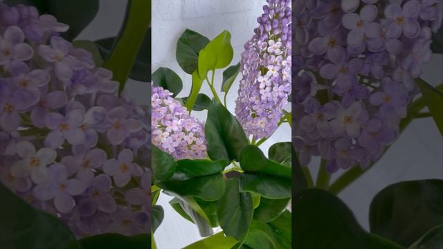 Букет сирени из холодного фарфора (полимерной глины) смотреть онлайн