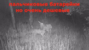 Фотоловушка НТ001В влияние работы от источников питания