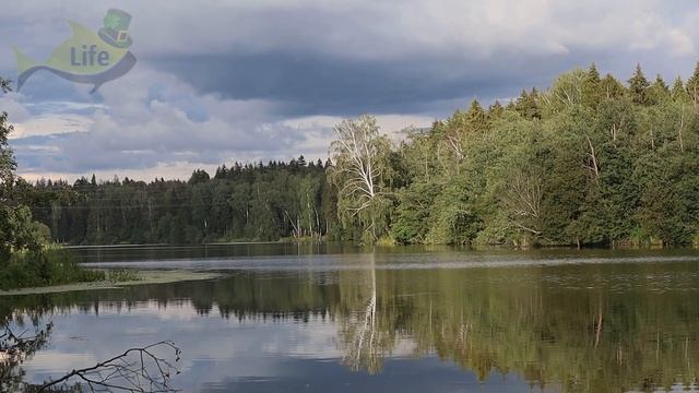 Найдена идеальная погода для ловли карпа! Влияние погоды на клёв карпа летом-весной и осенью! смотреть онлайн