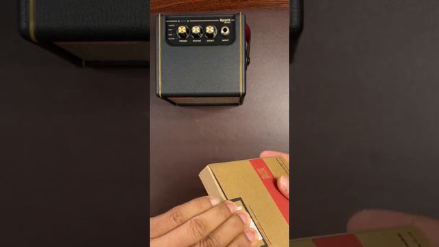 PositiveGrid Spark Mini Unboxing смотреть онлайн