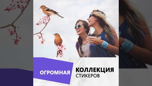 Фотостудия | Фоторедактор | Редактирование фото | Фильтры и Эффекты смотреть онлайн
