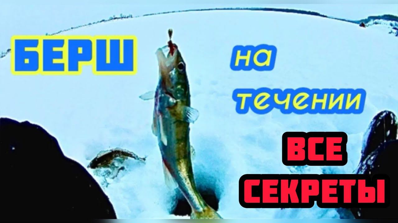 Ловля берша и судака на мормышку зимой на течении смотреть онлайн