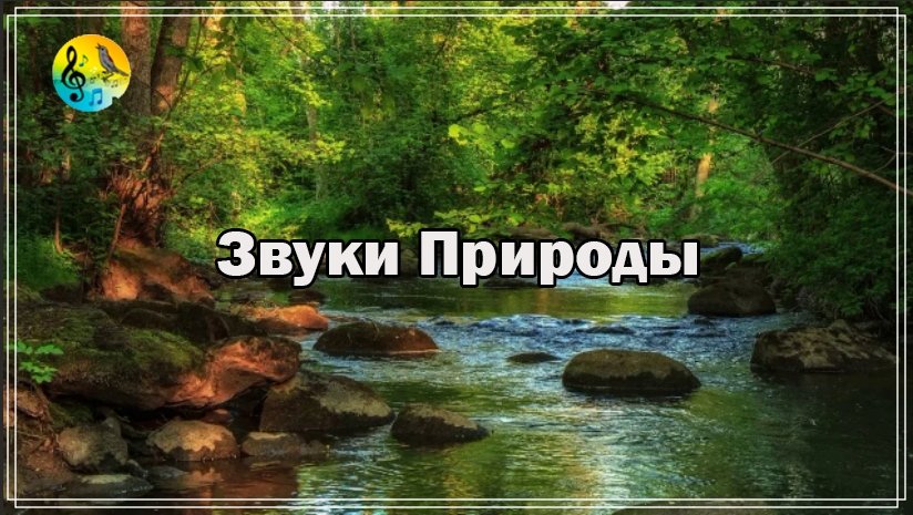 Звуки Природы Для Исцеления Во Сне ? Расслабляющие Звуки Природы. Успокаивающий Лесной Водопад смотреть онлайн