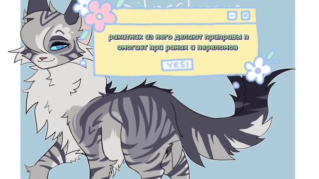 учим травы )из Котов воителей смотреть онлайн