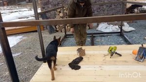 Строим вольер для овчарки.