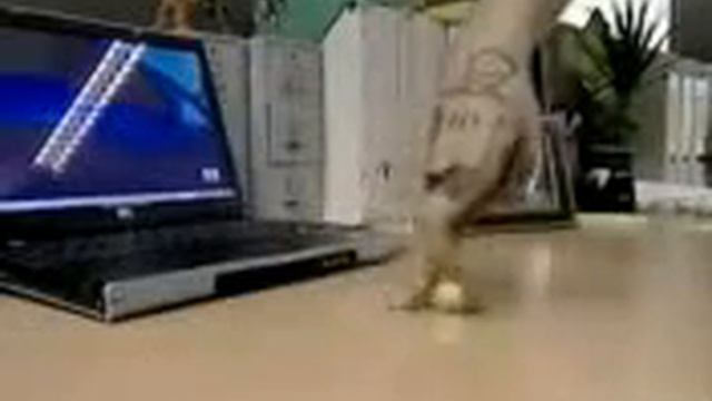 Руками Футбол смотреть онлайн