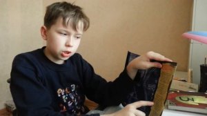 Обзор всех книг-дневников гравити фолз Обзор на русском