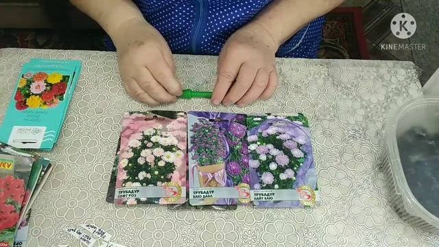 Посевной календарь на март месяц. Правильный посев астры. Посев петунии в таблетки. смотреть онлайн