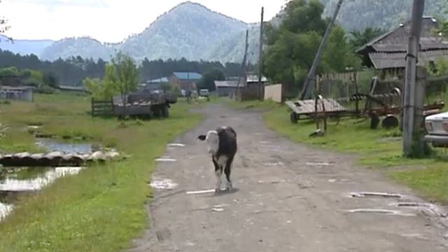 Глас народа 13 07 2013 смотреть онлайн