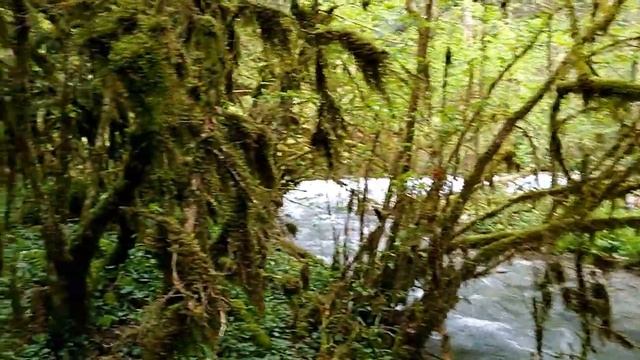 Кавказская Сказка Абхазии смотреть онлайн