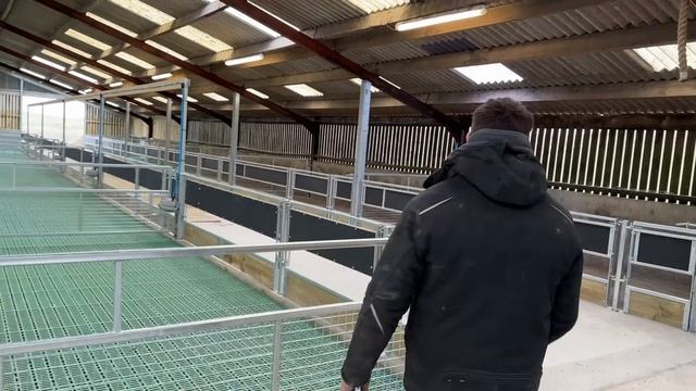 £70,000 UPGRADE to this SHEEP SHED смотреть онлайн