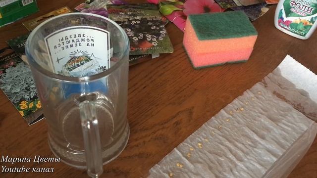 ПЕРЕЦ - 2 СПОСОБА ПРОРАЩИВАНИЯ СЕМЯН . ЗАКАЛКА И БЕЗ смотреть онлайн