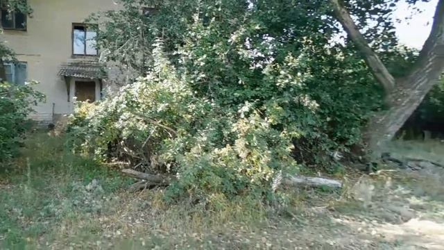 Где ты появился смотреть онлайн