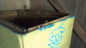 Способы хранения рамок. Средства защиты от восковой моли.