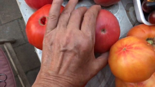 Свои семена . Вкусные помидоры ? смотреть онлайн