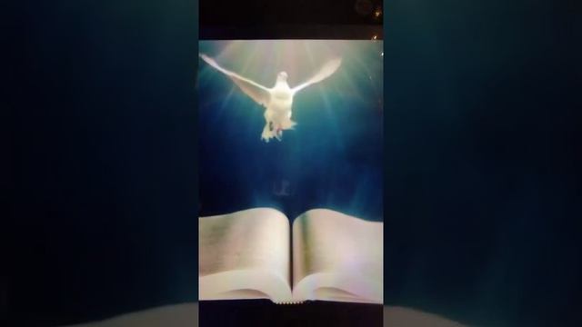 ЧЕЛОВЕК ПОКА ЖИВЁШЬ, НЕ УПУСТИ ЭТО ВЕЛЕЧАЙШЕЕ БЛАГОСЛОВЕНИЕ ! смотреть онлайн