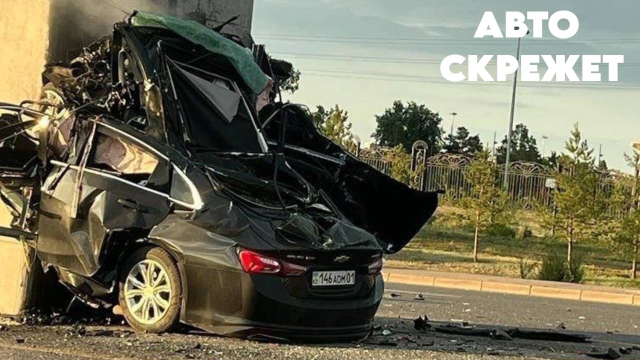 Дал Дал Ушёл! Торопыги Август ДТП смотреть онлайн