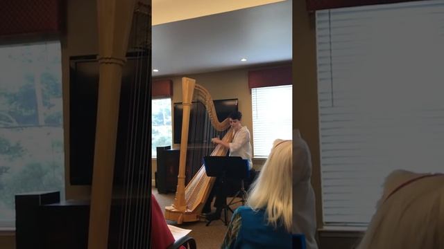 Queen’s Garden - Hollow Knight on harp смотреть онлайн
