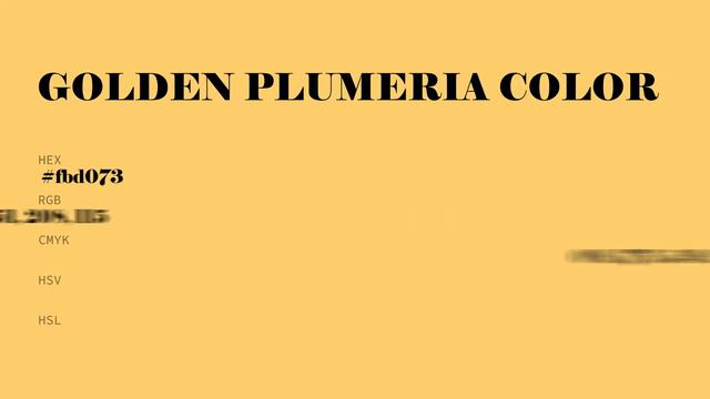 Golden Plumeria color #fbd073 hex color - Yellow color - Cool color fbd073 смотреть онлайн