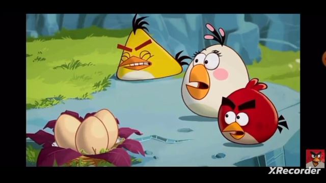 Angry Birds Toons: Egg Sound (funny Voice Over)
