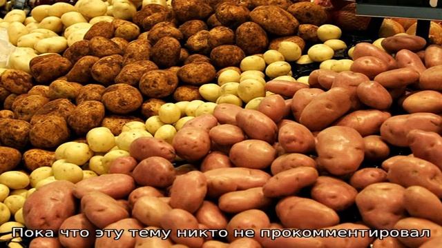 Рецепты сезона