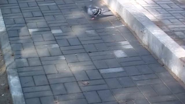 В микрорайоне завода имени 30-летия Октября отремонтировали дворы смотреть онлайн