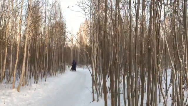 Питомник ездовых собак Эльбрус Екатеринбург смотреть онлайн