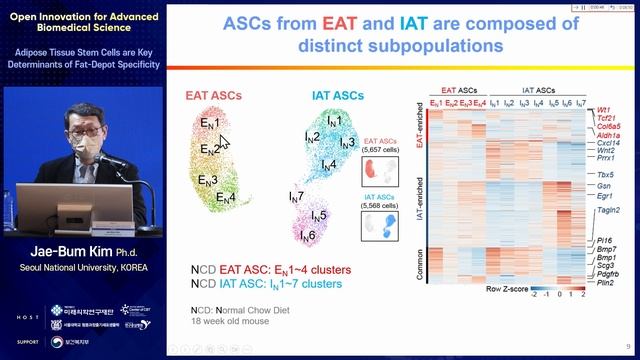 Adipose Tissue Stem Cells are Key Determinants of Fat-Depot Specificity - Jae-Bum Kim смотреть онлайн