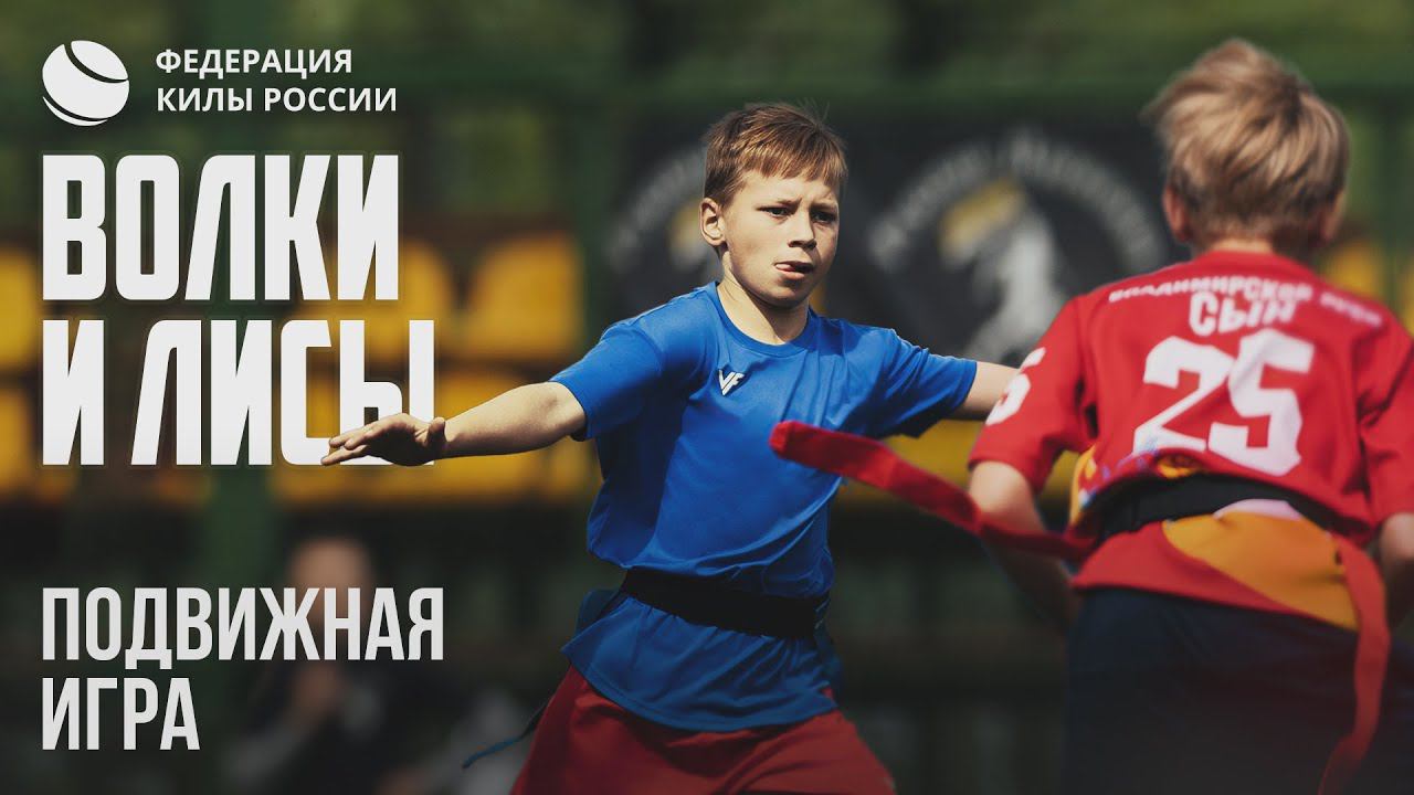 В ЭТУ ИГРУ ДЕТИ ГОТОВЫ ИГРАТЬ ЧАСАМИ! Подвижная игра Волки и Лисы смотреть онлайн