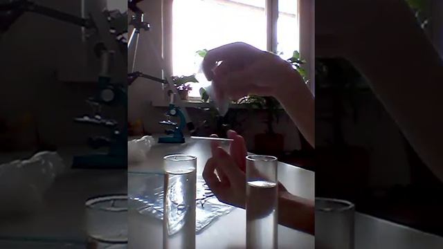 Трюк с водой. Воды не смешиваются (Эксперемент) смотреть онлайн