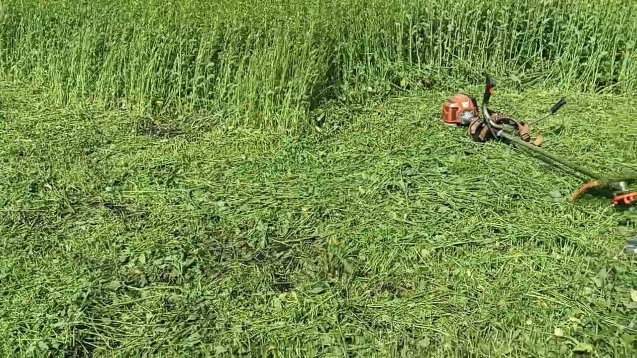 Как мы готовим участок под посадку клубники? смотреть онлайн