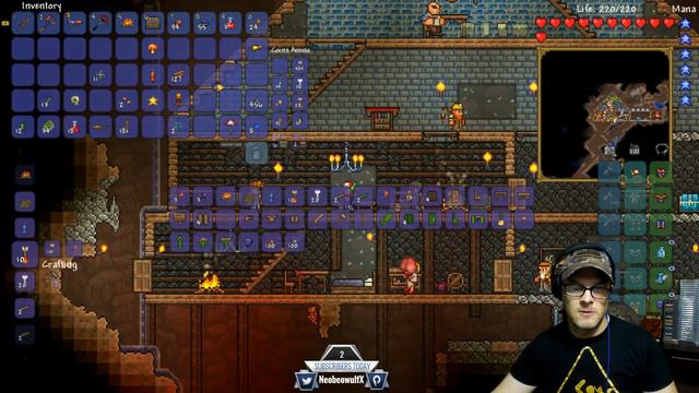 Backup Plan: Terraria! смотреть онлайн