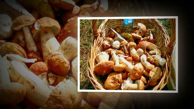 Коттедж на выходные в Зарайске смотреть онлайн