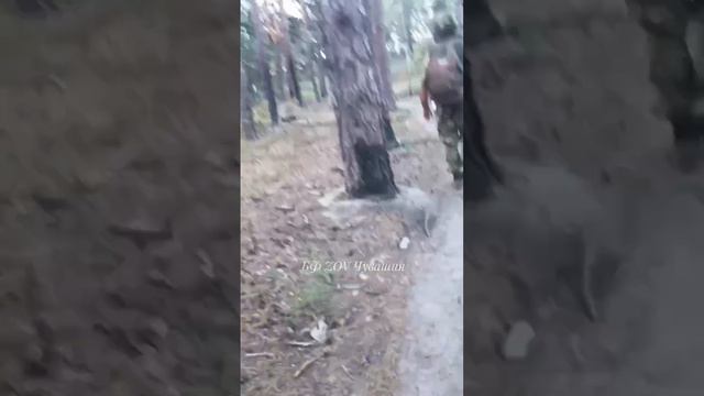 Будни СВО глазами НАШИХ бойцов смотреть онлайн