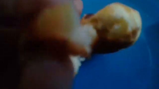 На кухне целый день/мальчишки занимаются с дровами/Вова остался без батареек до слухового аппарата смотреть онлайн