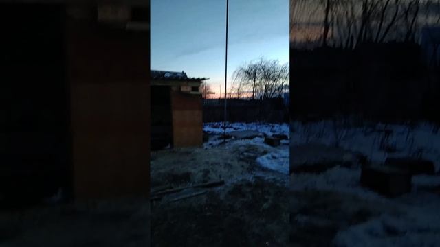 Гонная голубятня , приучаю голубей