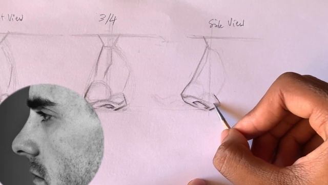 How to draw noses- understanding the structure of the nose смотреть онлайн
