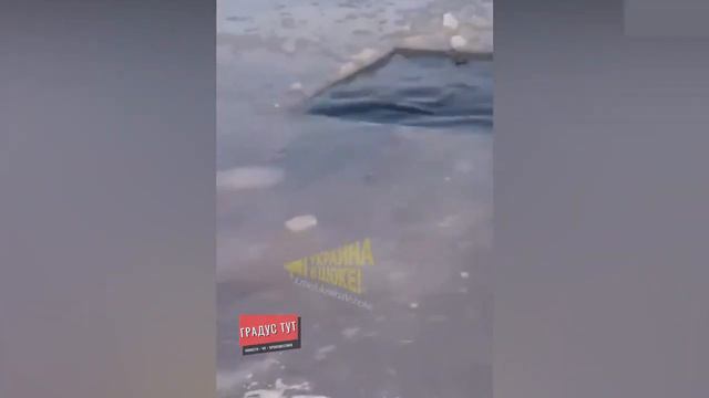 Мужчина утонул в проруби Прыгнул ради девушки смотреть онлайн
