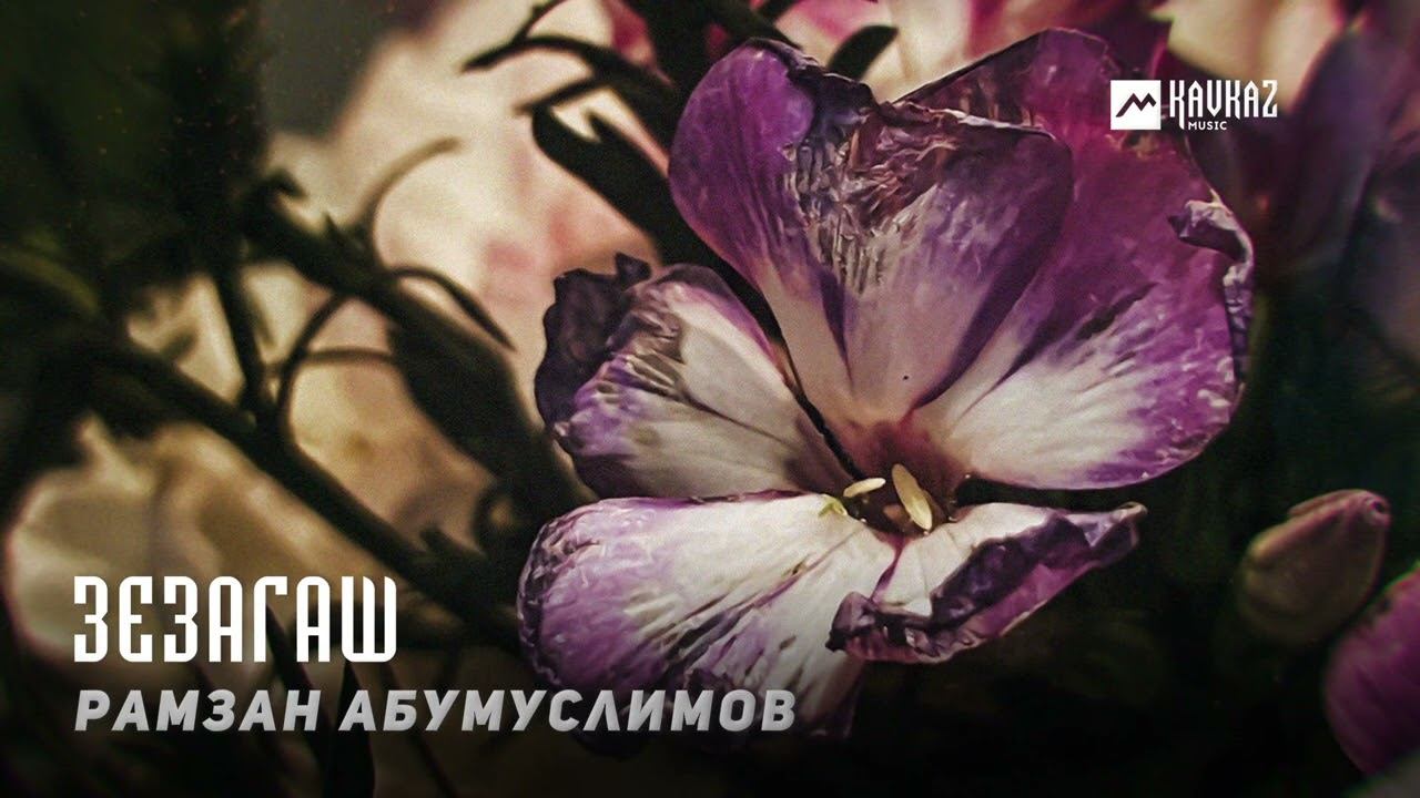Рамзан Абумуслимов - Зезагаш | KAVKAZ MUSIC CHECHNYA смотреть онлайн