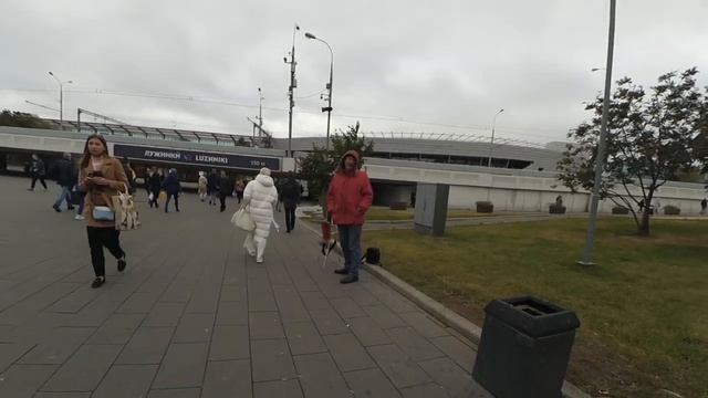 Странный певец у метро Спортивная смотреть онлайн