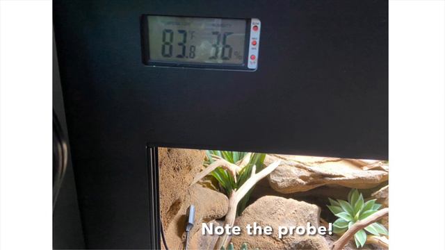 My DREAM Leopard Gecko Enclosure! | Custom Reptile Habitats