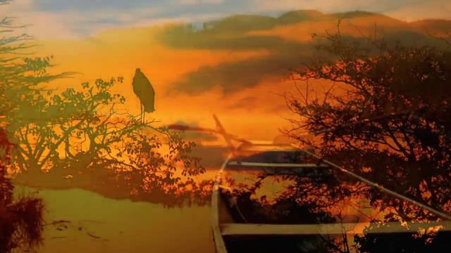 30 Minute Sleeping Music, Calm Music, Insomnia, Sleep Therapy, Meditation, Study, Spa, Sleep, ☯131B смотреть онлайн