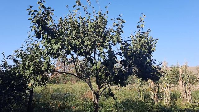 Дружковка, 24.08.22г. – День Y! Ещё один! смотреть онлайн