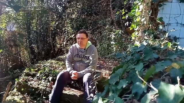 Помогаторы уехавшим из России смотреть онлайн