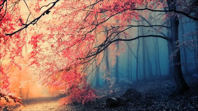 Ludovico Einaudi - Life смотреть онлайн