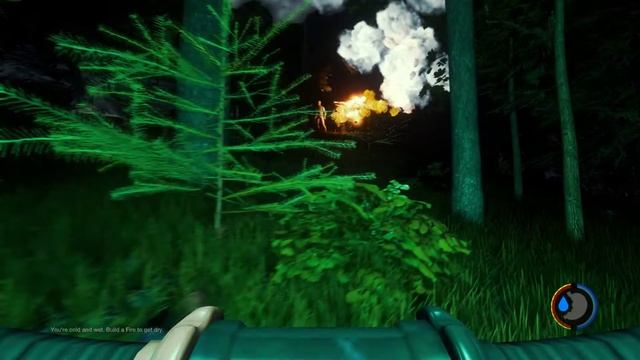The Forest. Красиво горит в ночи... смотреть онлайн