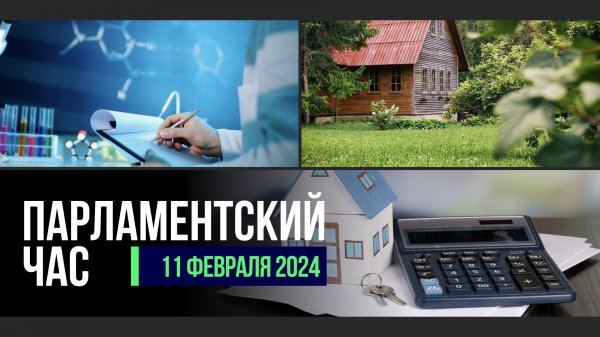 РАБОТА ДЕПУТАТОВ В РЕГИОНАХ | ПОМОЩЬ СЕМЬЯМ И БЕЗДОМНЫМ ЖИВОТНЫМ | "ДАЧНАЯ АМНИСТИЯ"