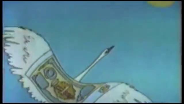 ОСТОРОЖНО! ФИНАНСОВАЯ ПИРАМИДА! смотреть онлайн